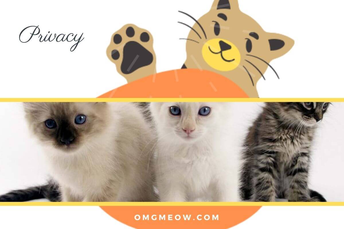 Privacy - OMG Meow