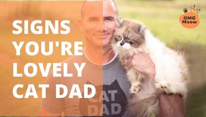 Signs You're Lovely Cat Dad