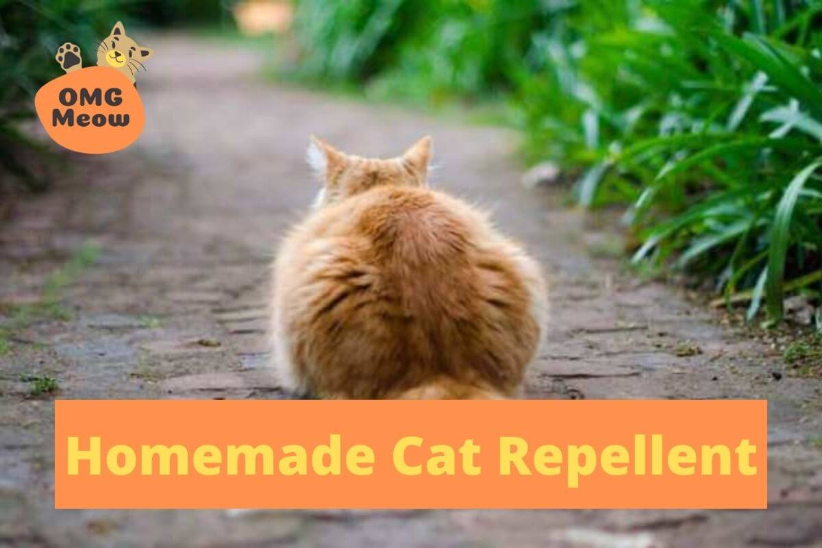 best homemade cat repellent